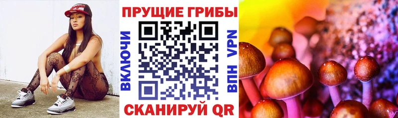 площадка наркотические препараты  Невельск  Псилоцибиновые грибы ЛСД 